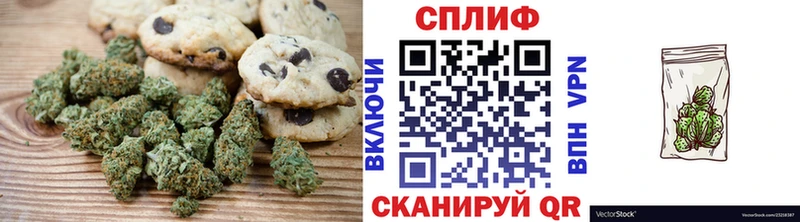 Купить закладки  Лениногорск  Canna-Cookies конопля 