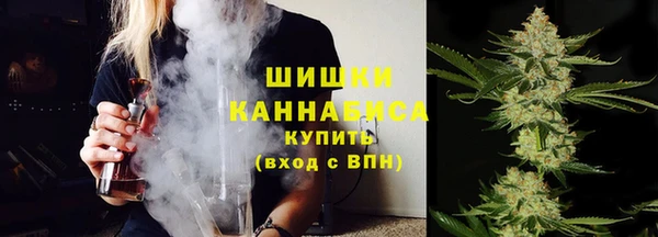 ПСИЛОЦИБИНОВЫЕ ГРИБЫ Навашино