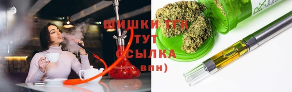 стафф Надым
