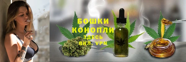 стафф Надым