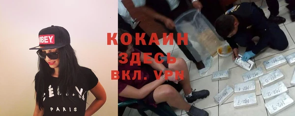ПСИЛОЦИБИНОВЫЕ ГРИБЫ Навашино