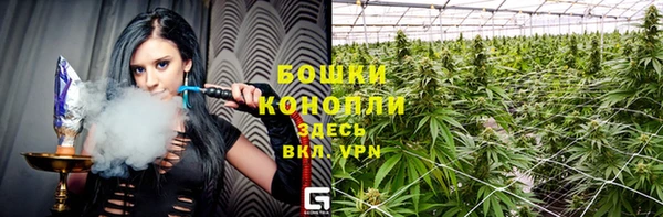 стафф Надым