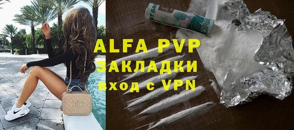 стафф Надым