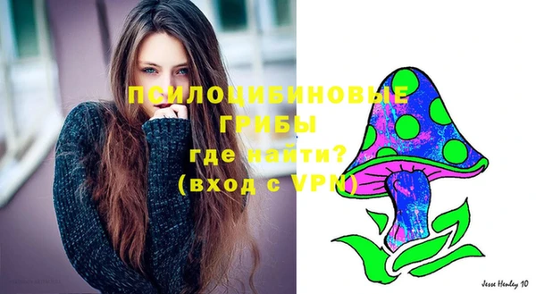 стафф Надым