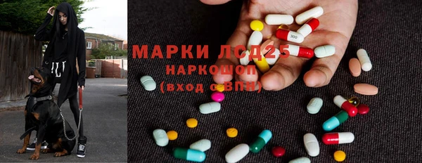 ПСИЛОЦИБИНОВЫЕ ГРИБЫ Навашино