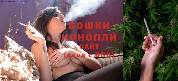 стафф Надым
