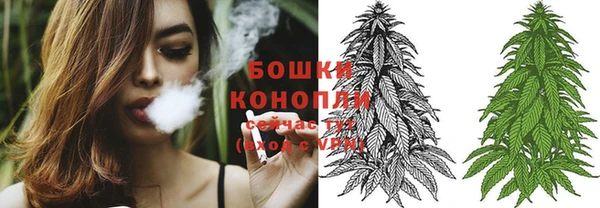 ПСИЛОЦИБИНОВЫЕ ГРИБЫ Навашино