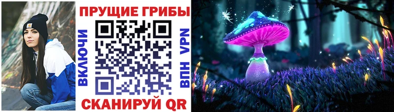 Галлюциногенные грибы Magic Shrooms  Купить  Лениногорск 