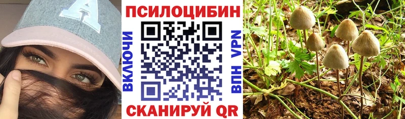 Галлюциногенные грибы GOLDEN TEACHER Лениногорск