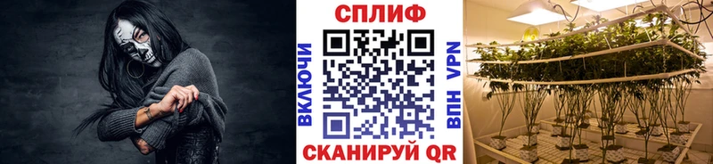 Каннабис сатива  Купить  Лениногорск 